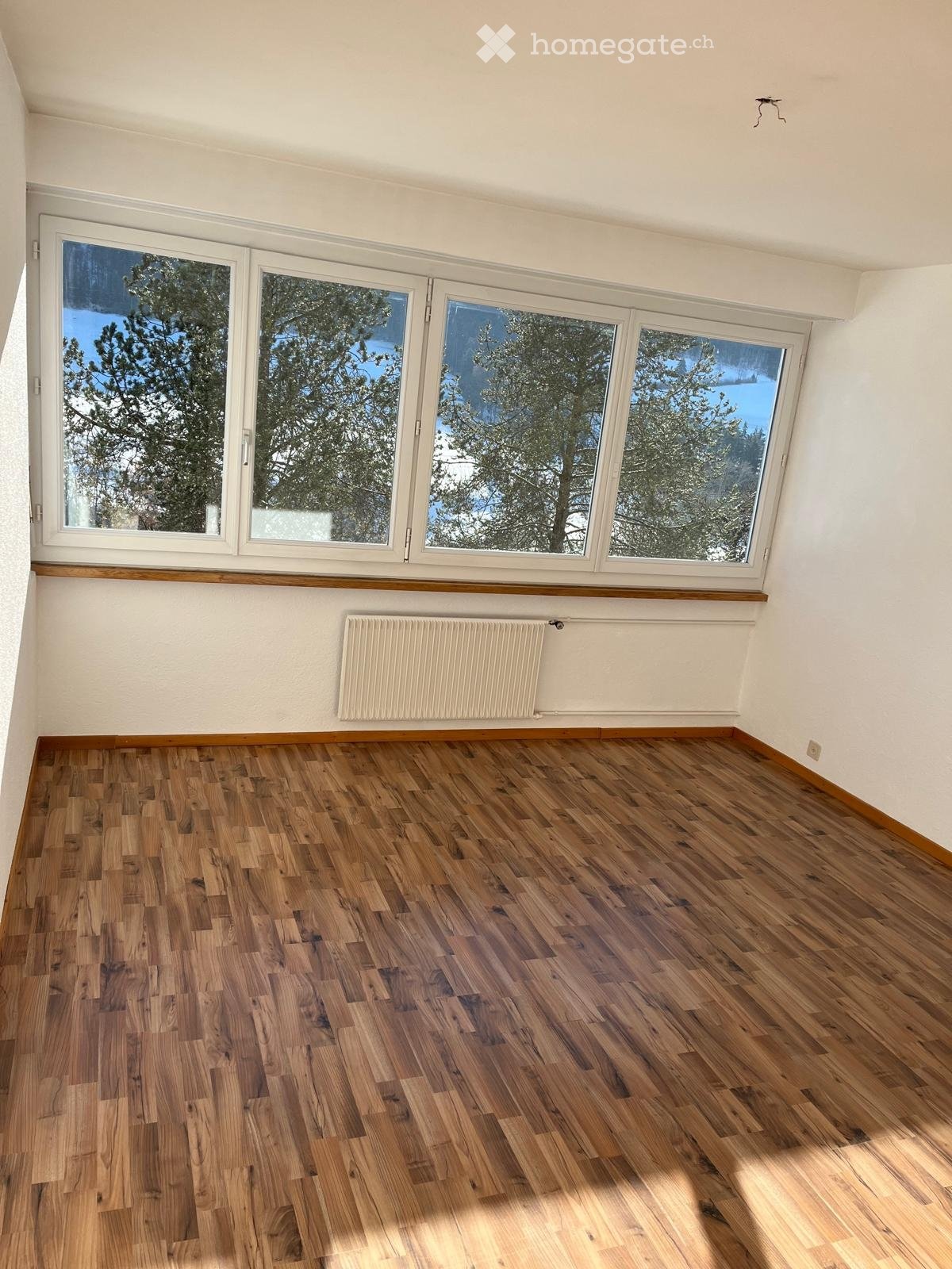 4 ½ rooms apartment