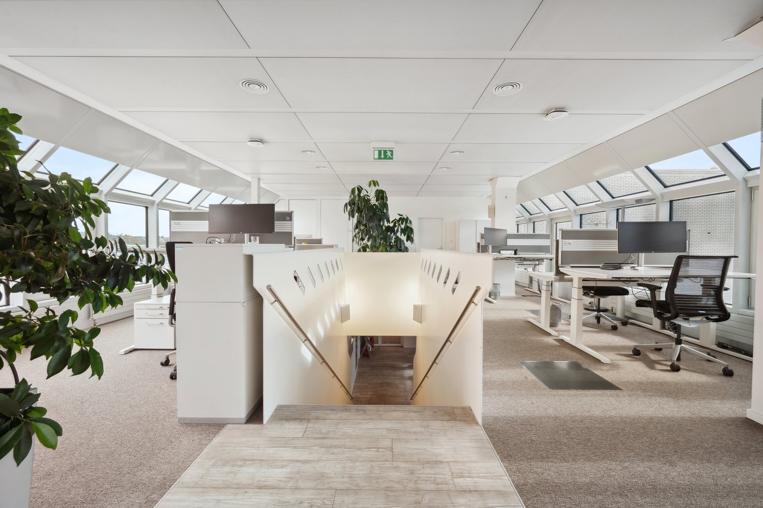 1574m² de bureaux
