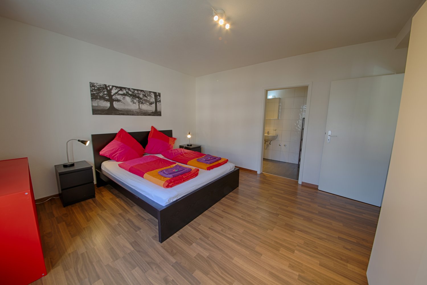 Appartement meublé de 2 ½ pièces, photo 2 sur 10