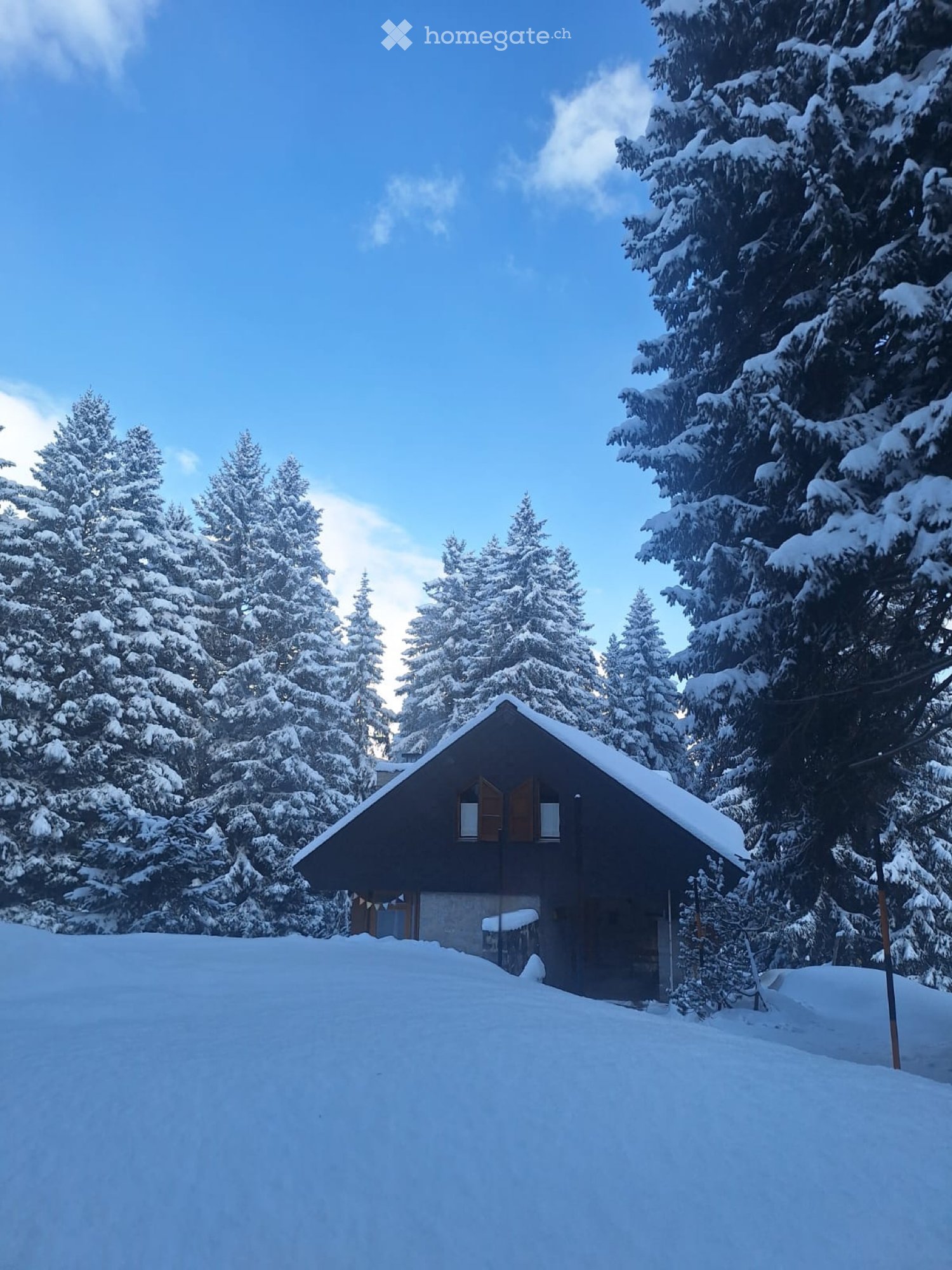 Splendide chalet à louer pour la saison hivernale (à 3500.- par mois) niché dans la nature à proximité du Lago Doss à S. Bernardino.
Sous-sol, rez-de-chaussée (entrée, sanitaire, séjour avec cheminée, salle à manger et cuisine), premier étage (4 chambres dont 2 doubles, 1 lit superposé et 1 simple, , photo 1 sur 4