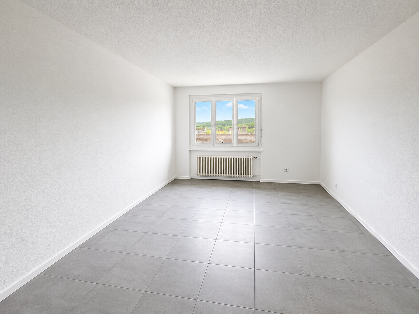 4 ½ rooms apartment