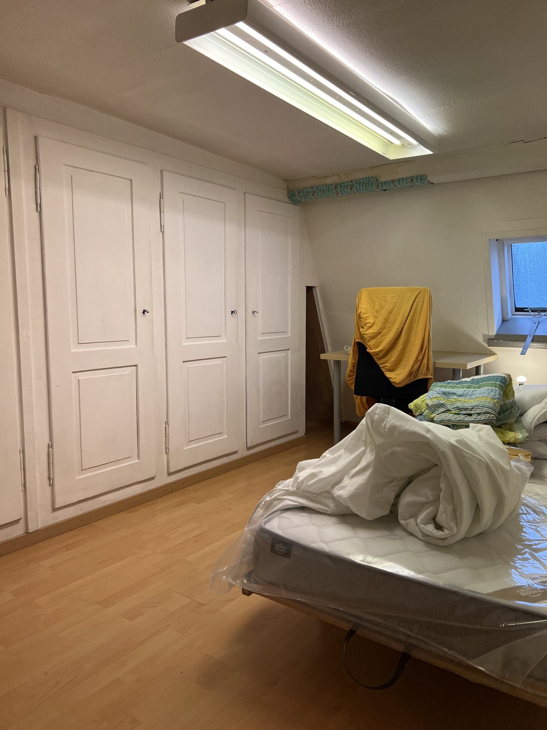 Chambre dans une colocation