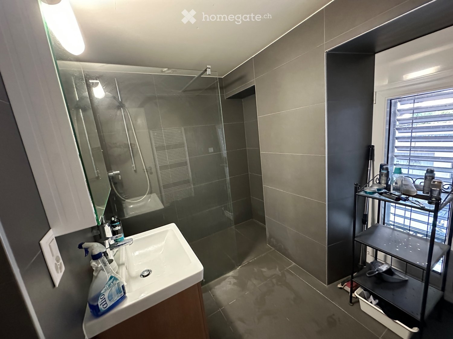 Appartement de 2 ½ pièces, photo 3 sur 5
