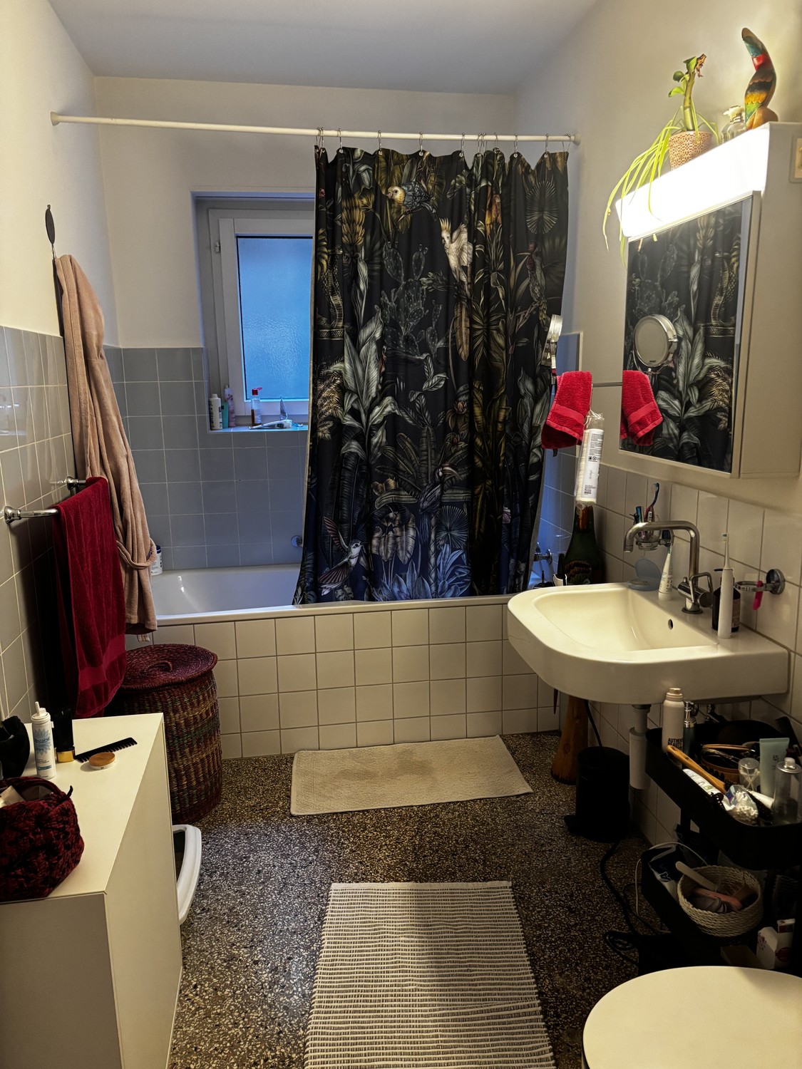 Appartement de 3 ½ pièces
