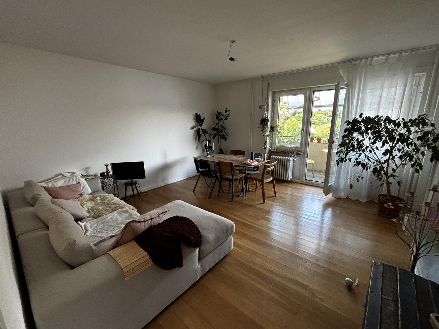 Appartement de 3 ½ pièces