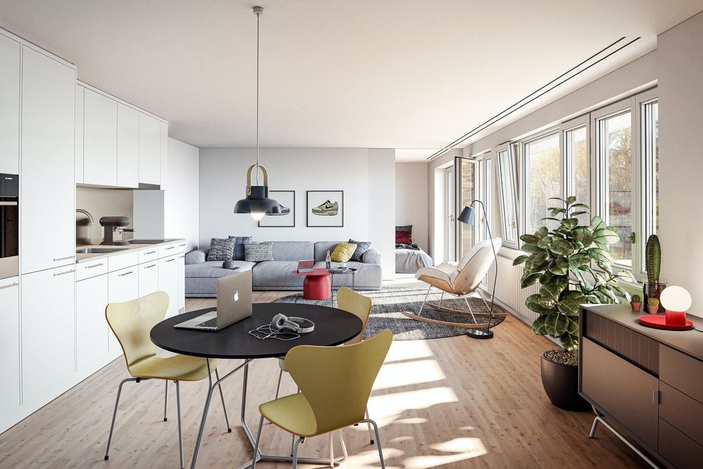 Appartement de 3 ½ pièces