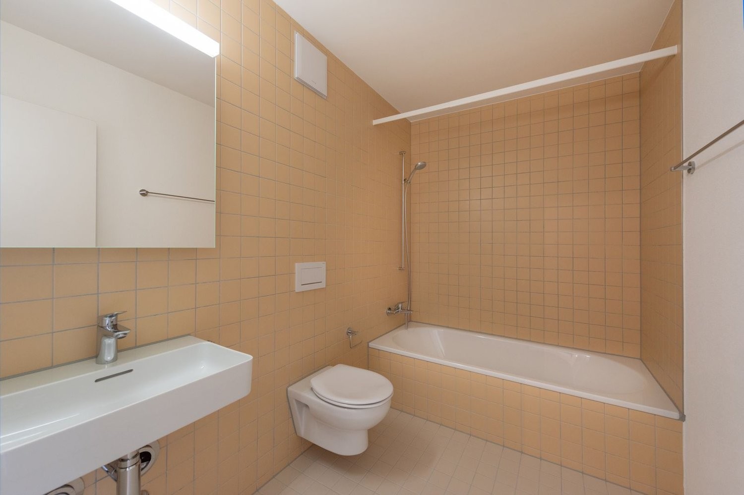 Appartement de 3 ½ pièces