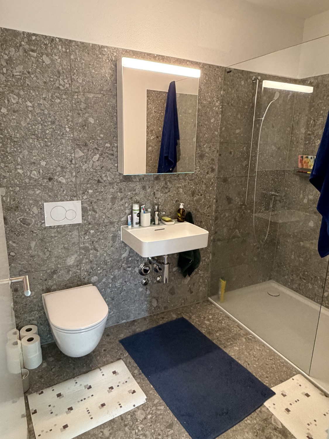Appartement de 2 ½ pièces