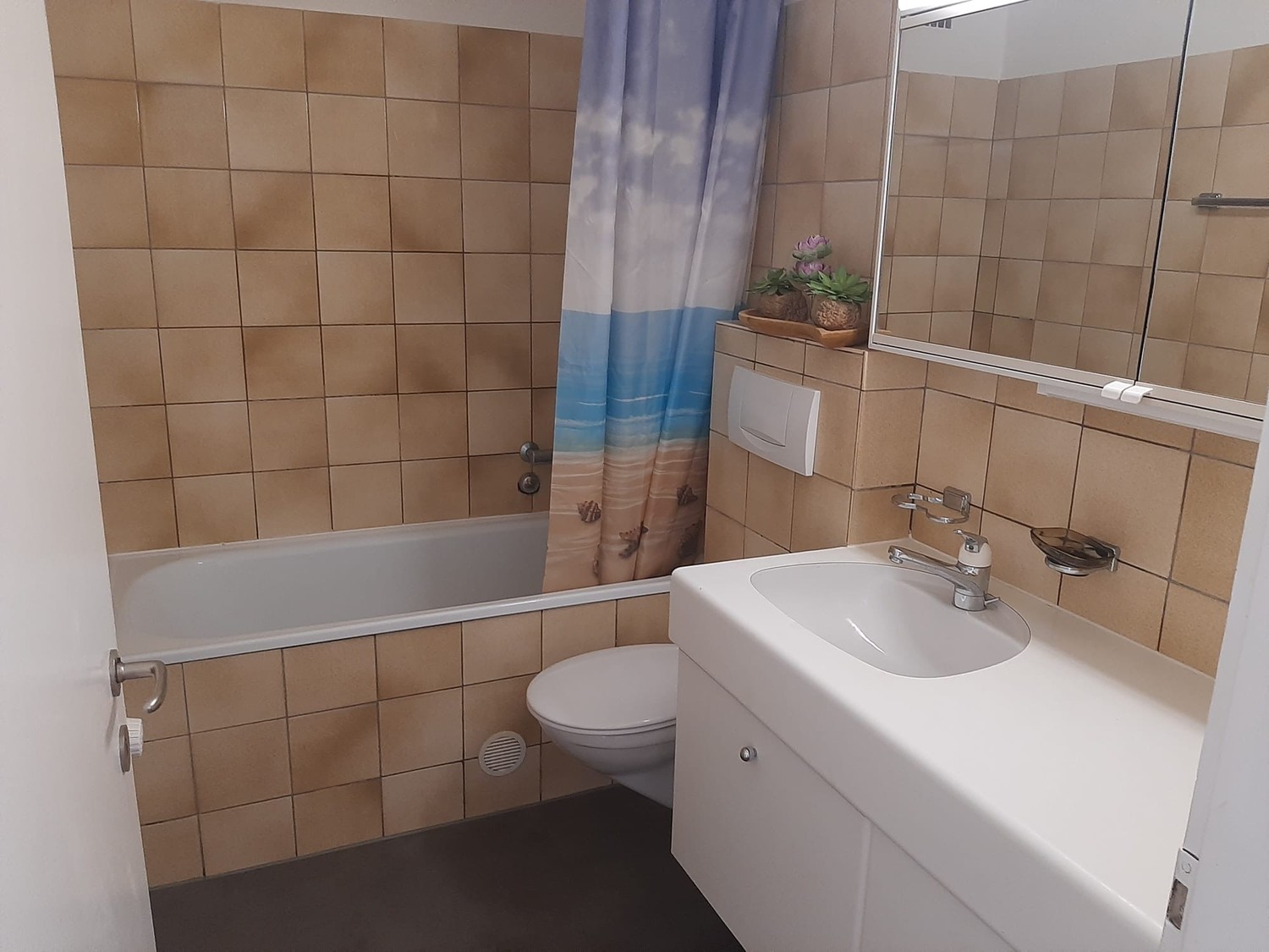 Appartement de 1 ½ pièces, photo 1 sur 8