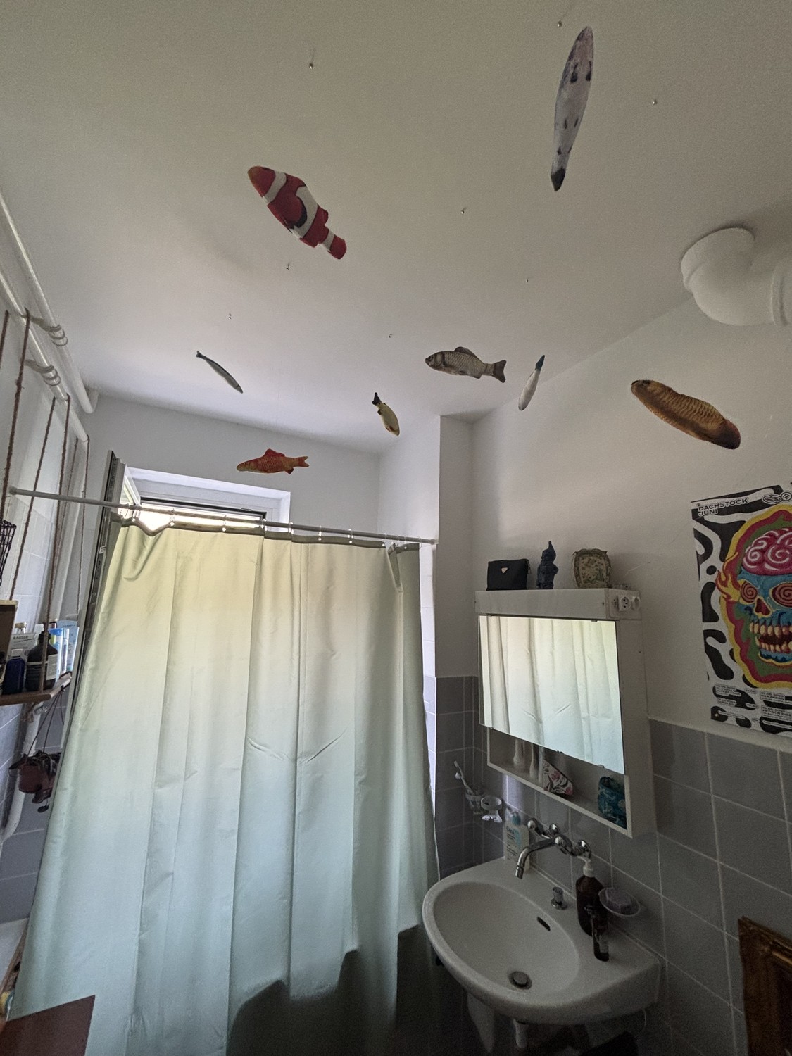 Appartement de 2 ½ pièces, photo 3 sur 6