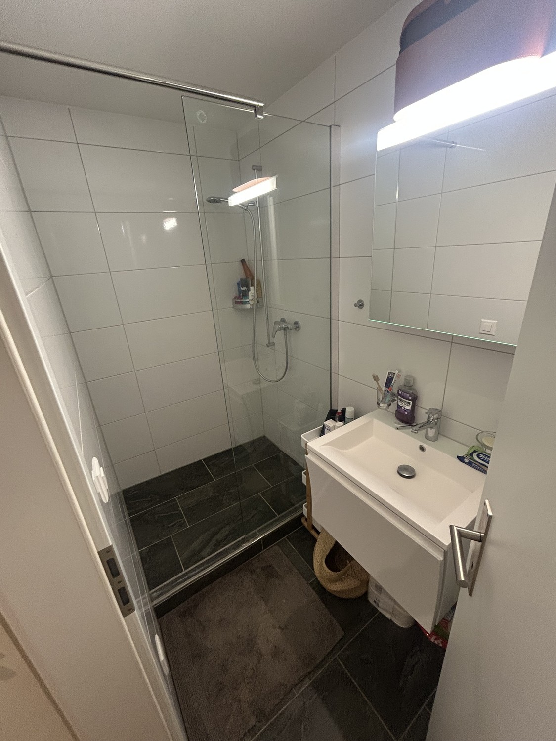 Appartement de 2 ½ pièces, photo 10 sur 10