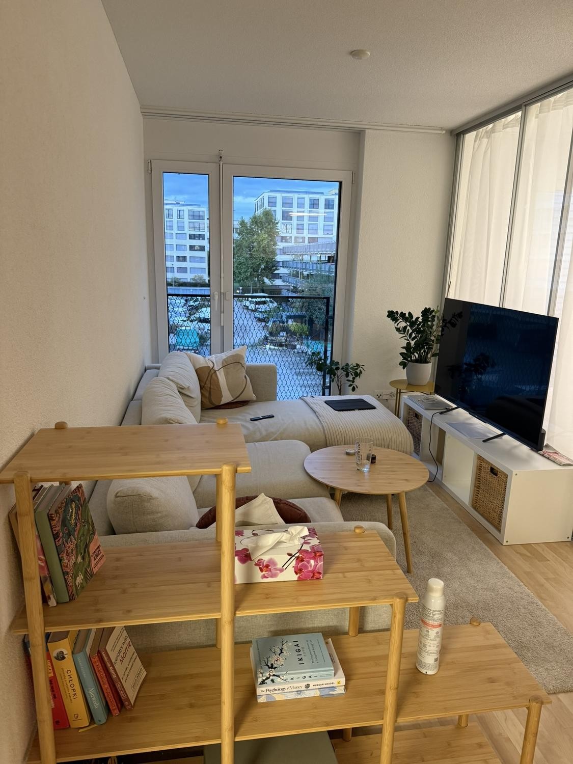 Appartement de 1 ½ pièces