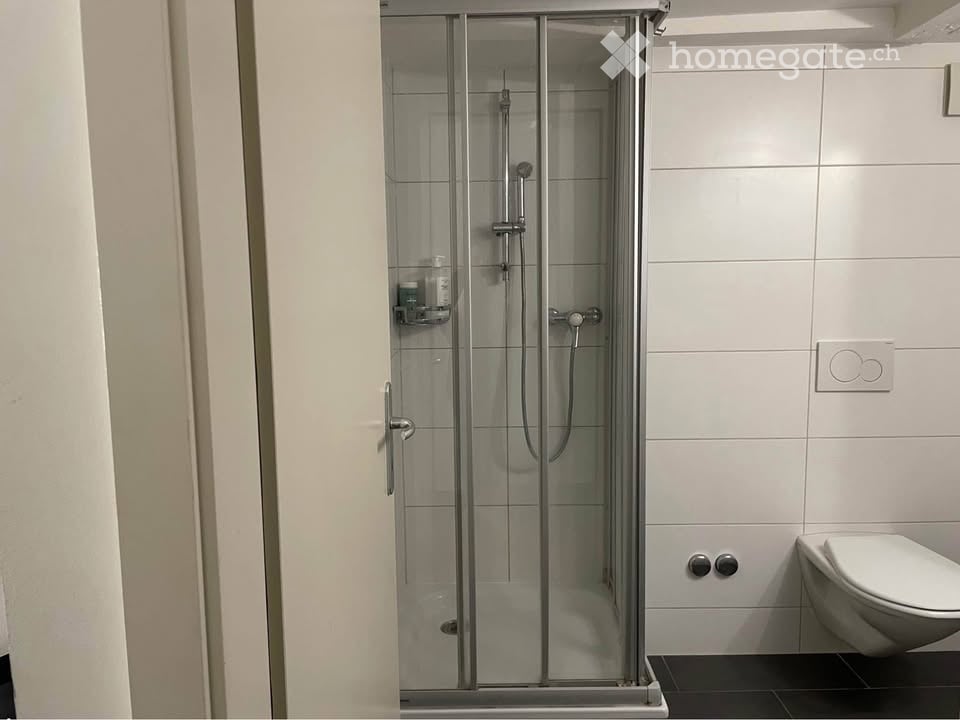 2 rooms apartment, photo 4 sur 5