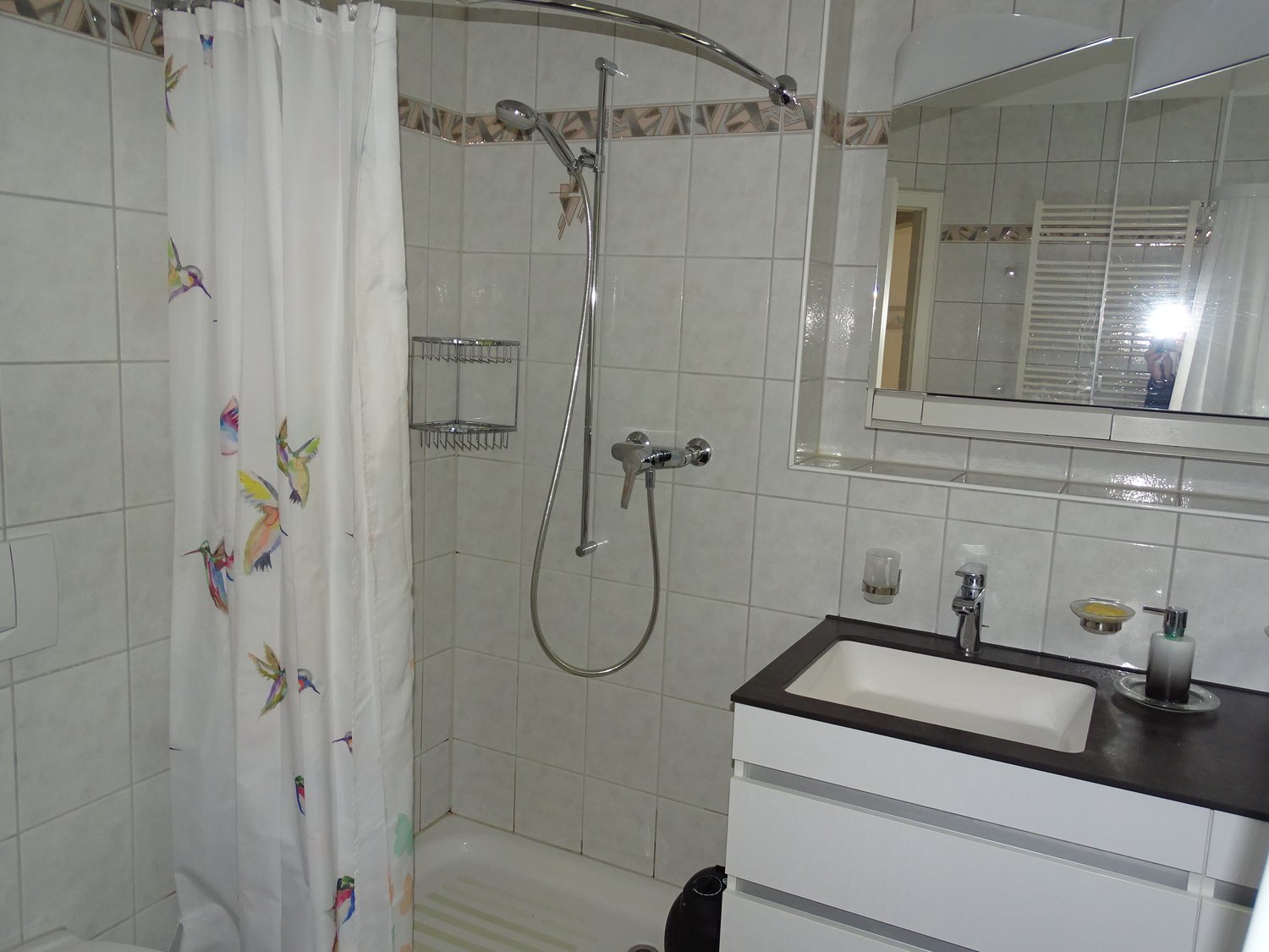 3 ¾1 pièces appartement