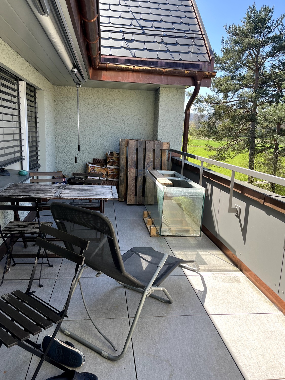 appartement 1 pièce
