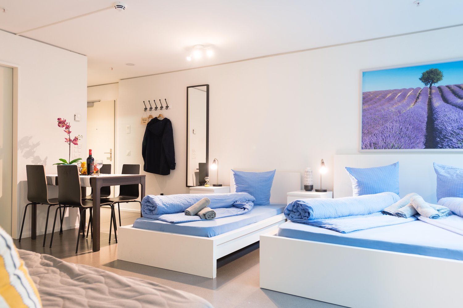 Appartement meublé de 1 ½ pièce, photo 3 sur 10