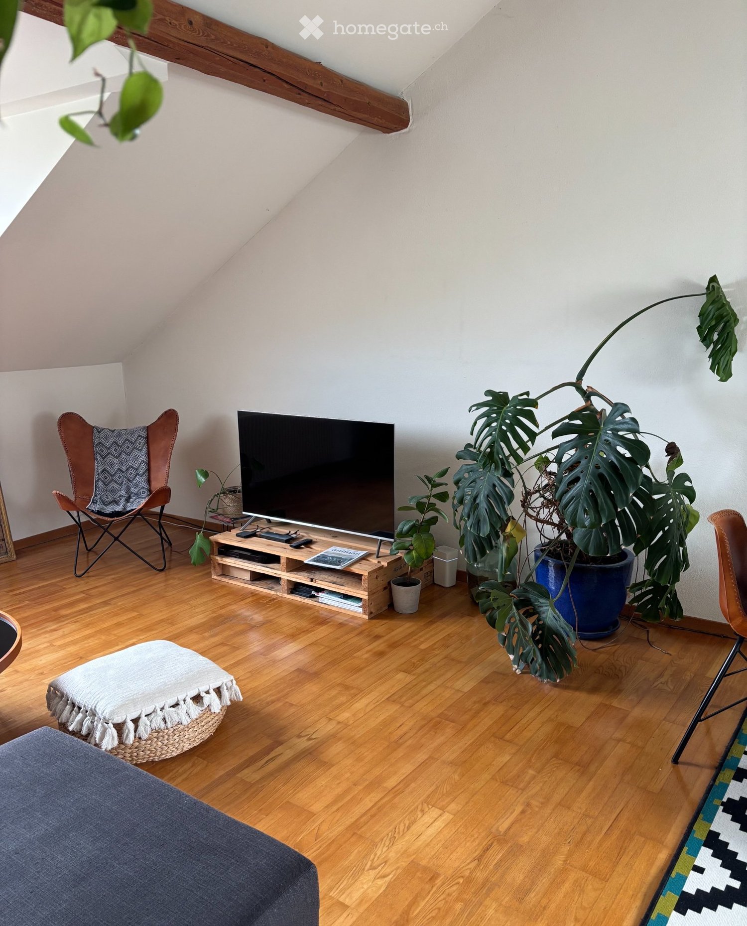3 ½ rooms apartment