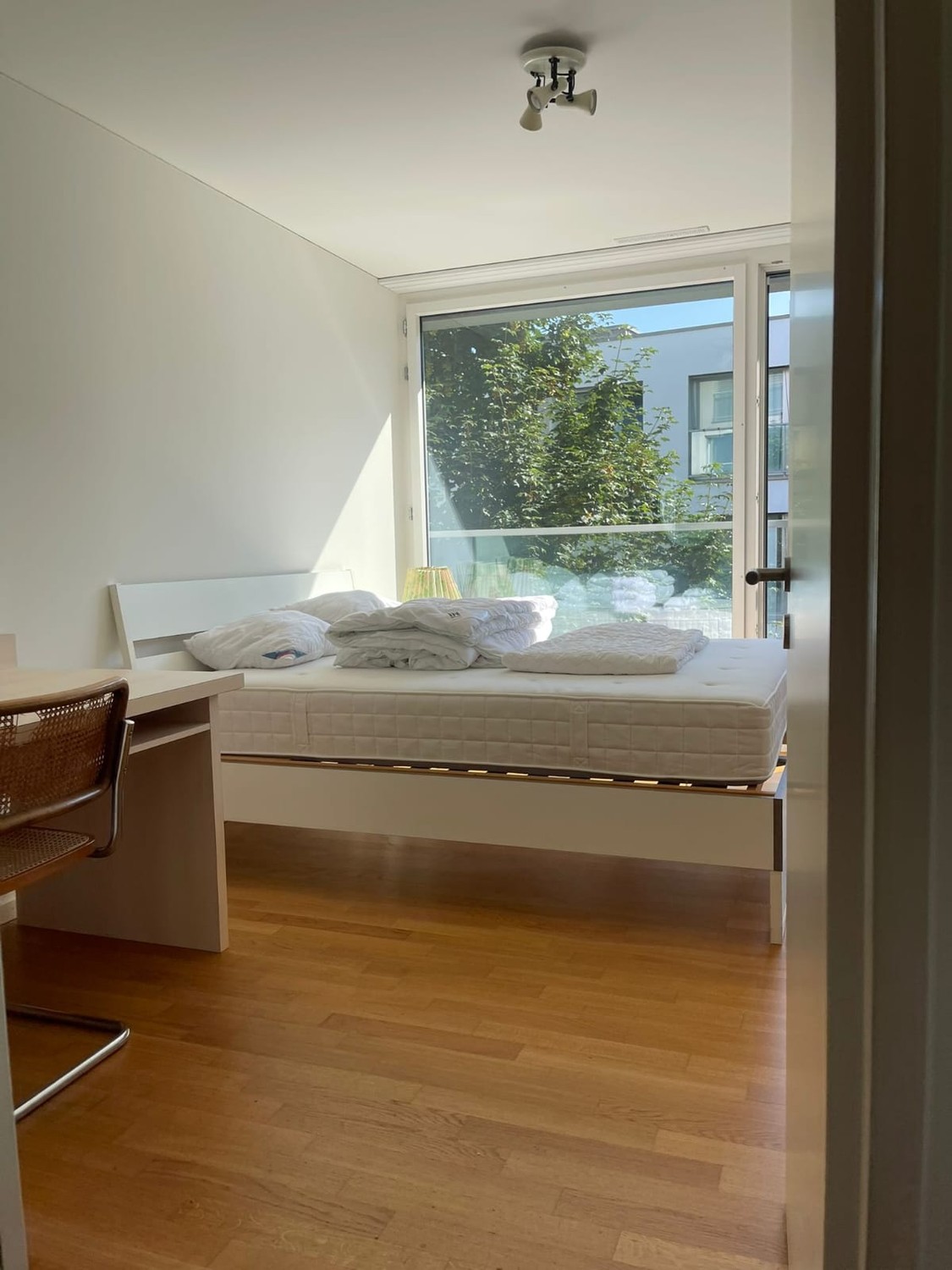 Chambre en colocation