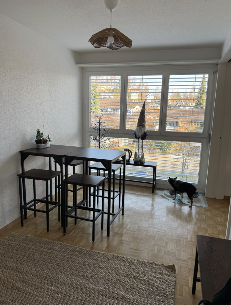 Appartement de 3 ½ pièces, photo 2 sur 7