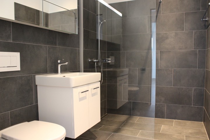Appartement de 3 ½ pièces, photo 5 sur 10