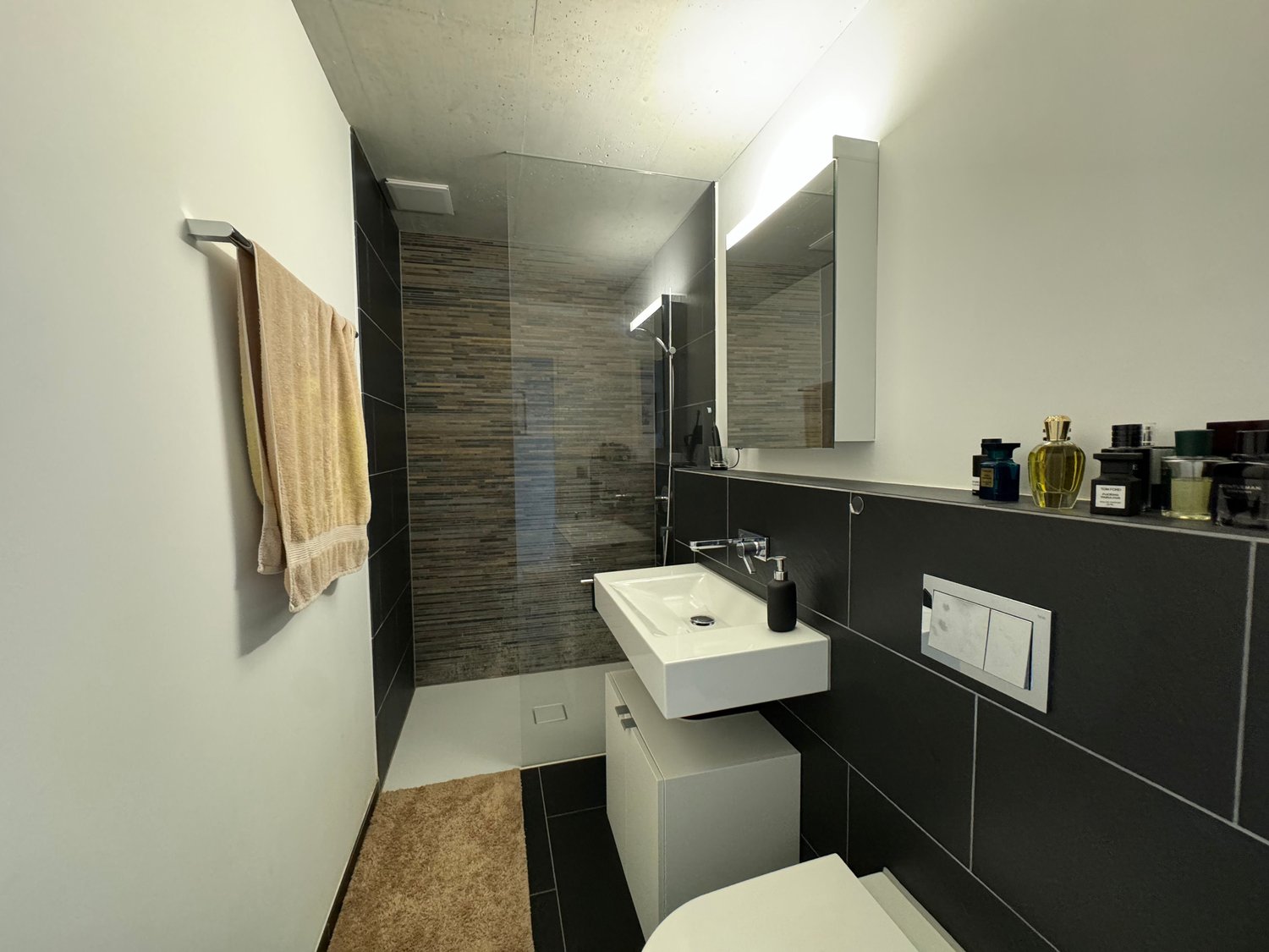 Appartement de 2 ½ pièces, photo 5 sur 7