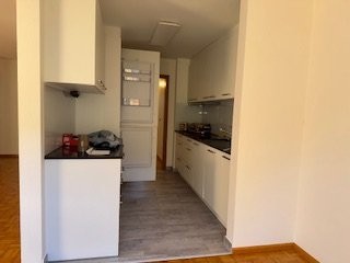 Appartement de 3 ½ pièces, photo 3 sur 10