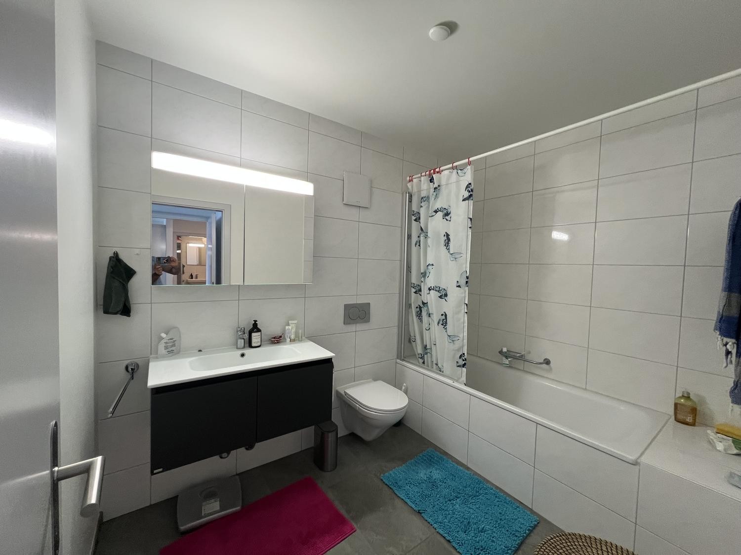 1 ½ rooms apartment, photo 6 sur 8