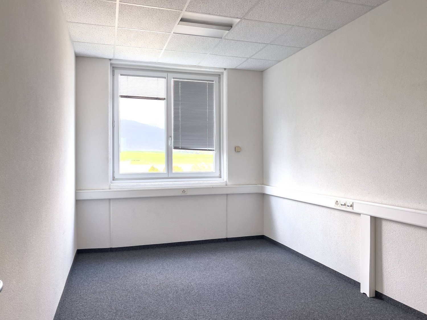 381m² office, photo 4 sur 5