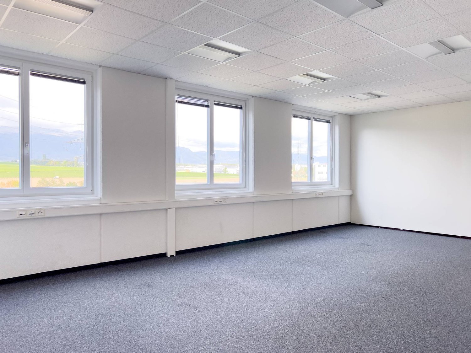 381m² office, photo 3 sur 5