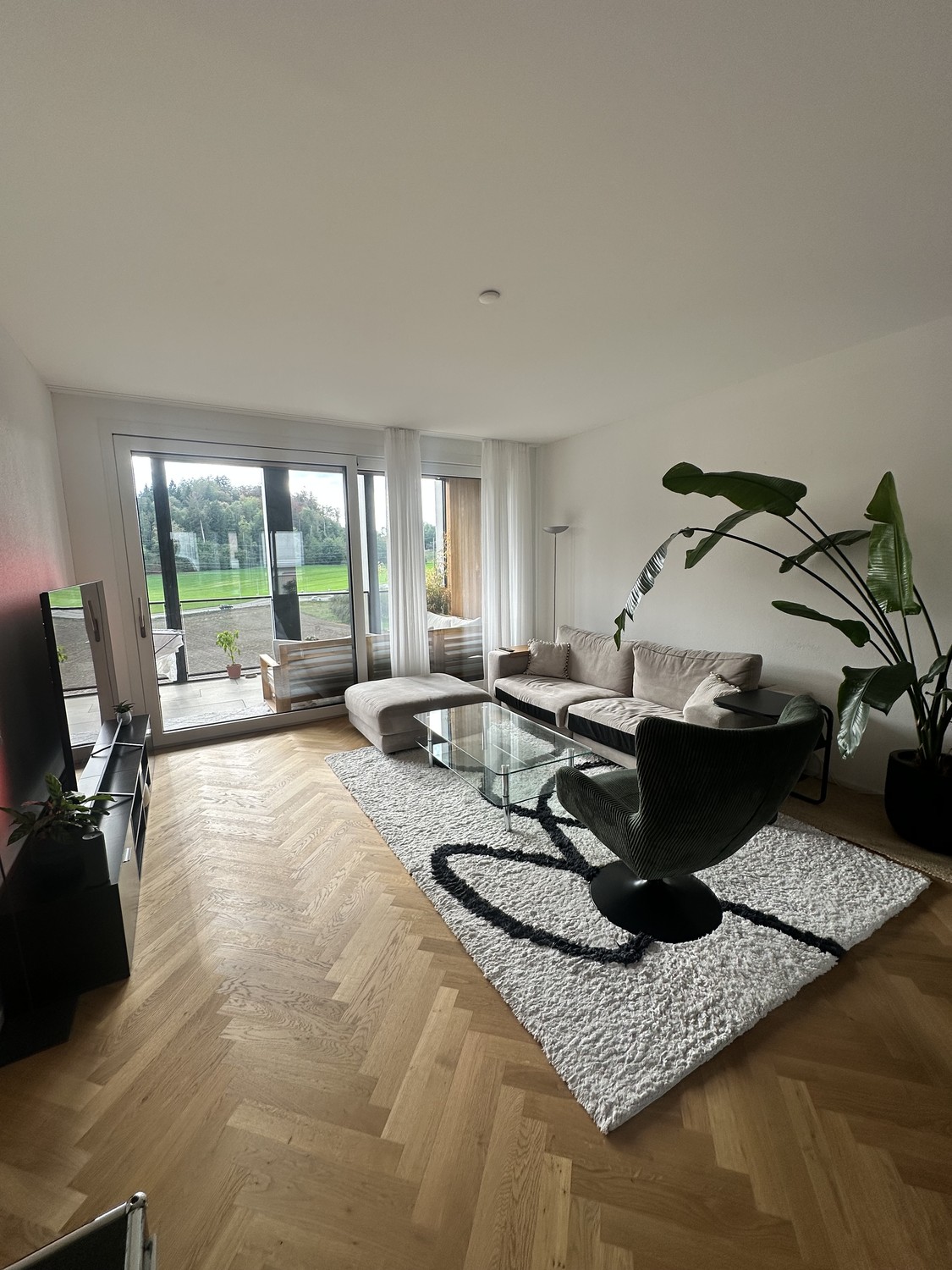 Appartement de 3 ½ pièces