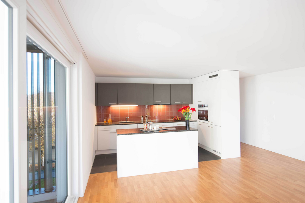 Appartement de 1 ½ pièces, photo 1 sur 7