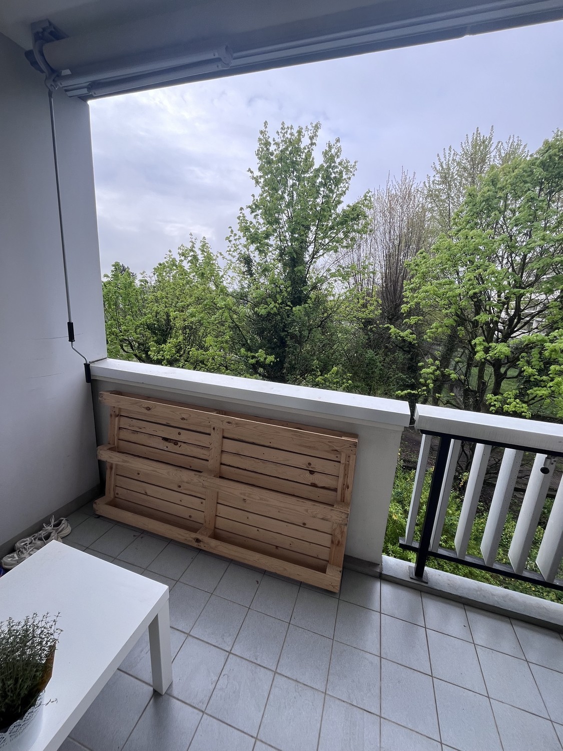 Chambre dans une colocation