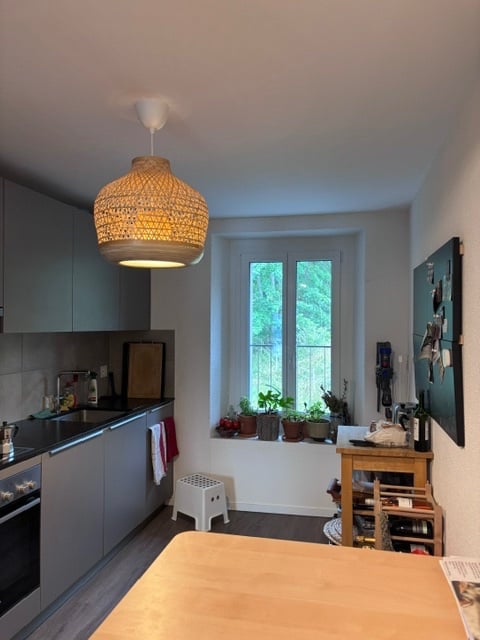 3 ½ rooms apartment, photo 3 sur 5