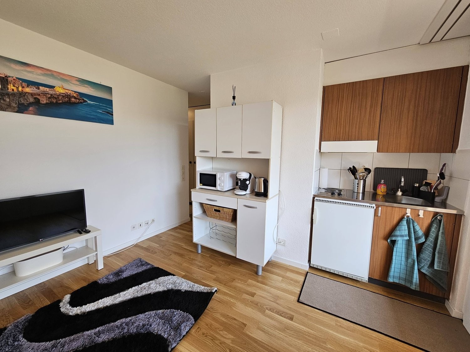 appartement meublé 1 pièce, photo 4 sur 10