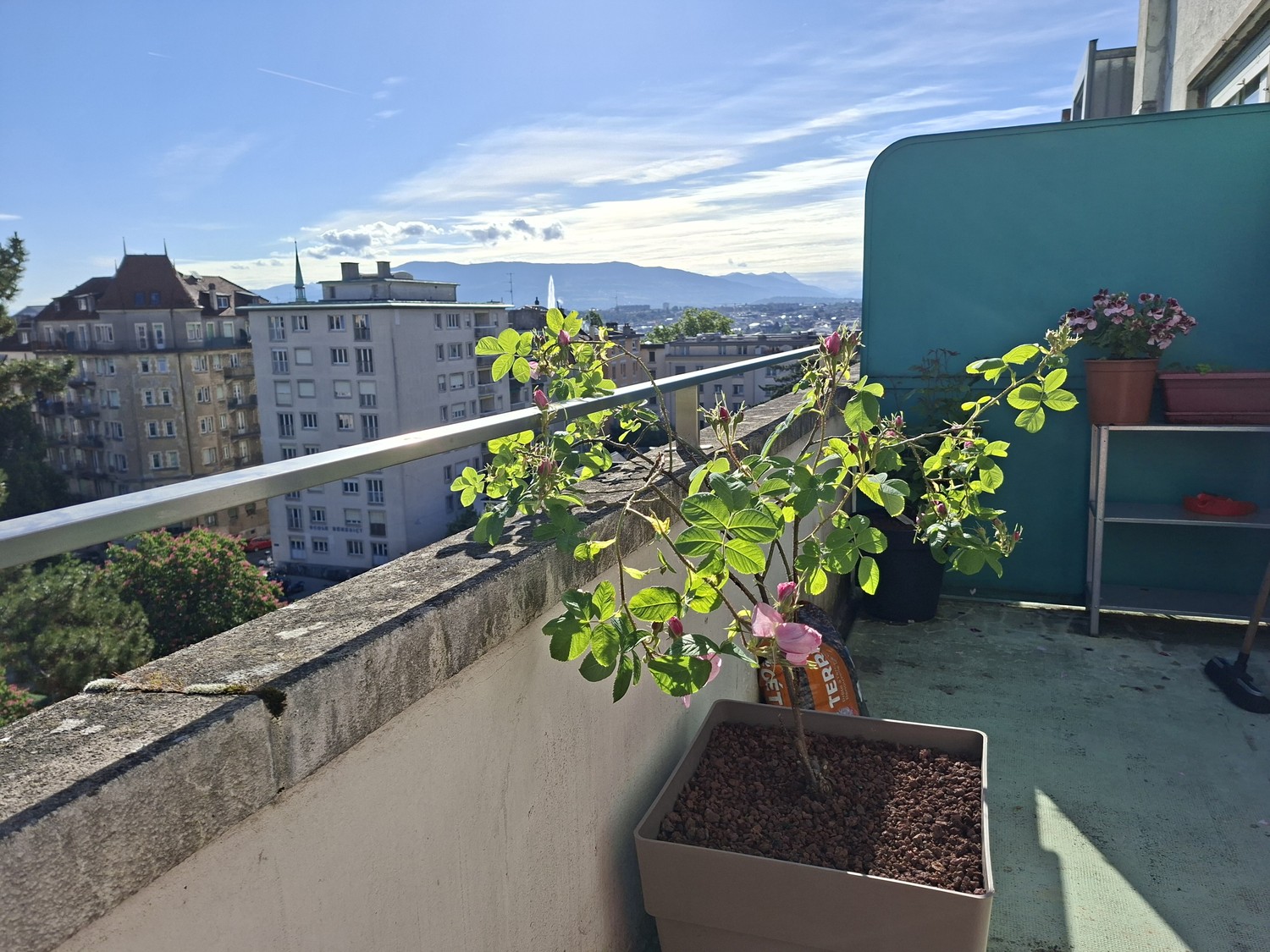 3 rooms apartment, photo 6 sur 10