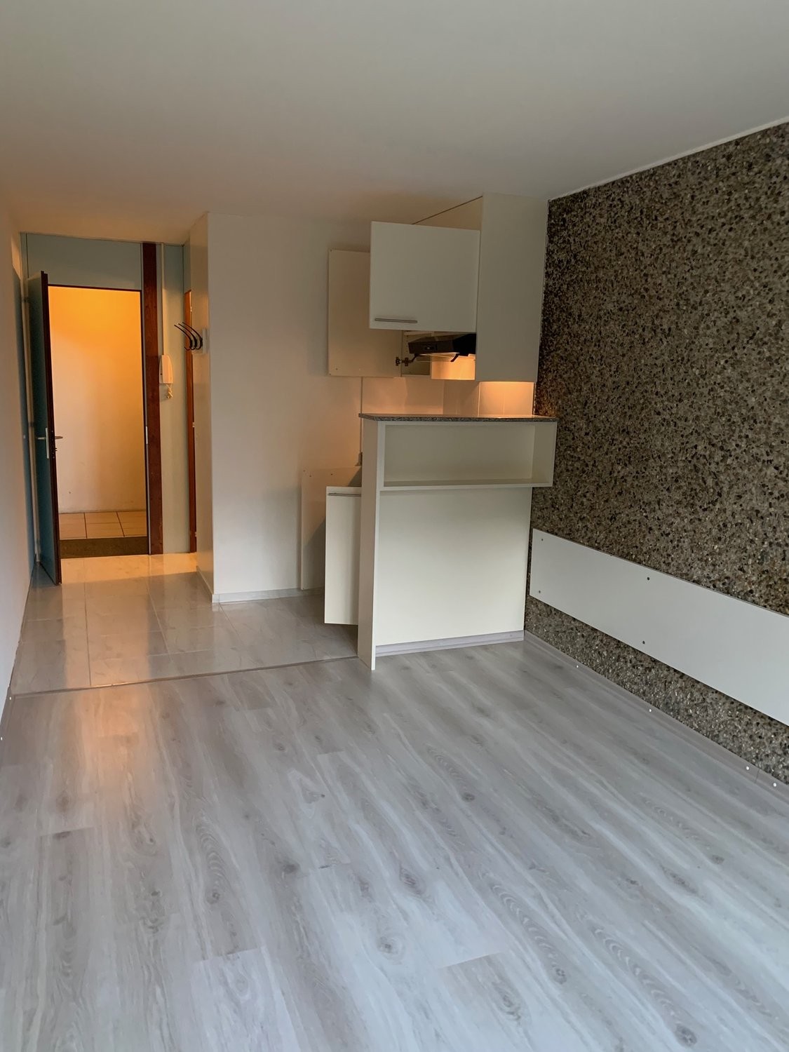 1 ½ rooms apartment, photo 2 sur 6