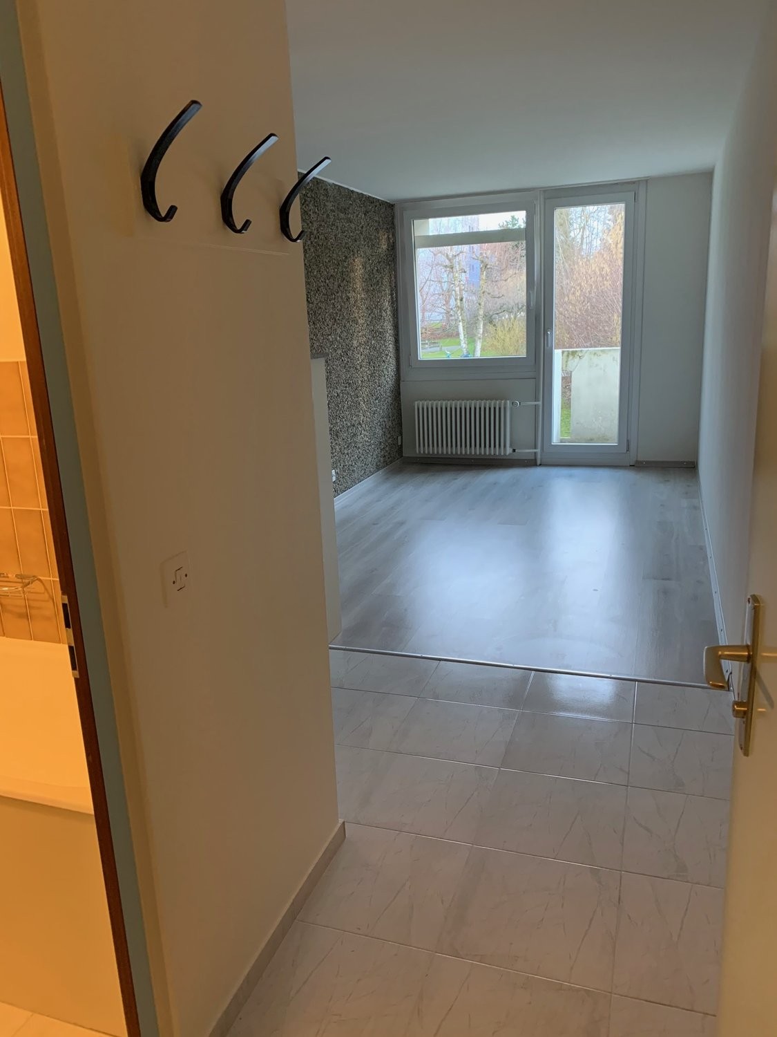 1 ½ rooms apartment, photo 3 sur 6
