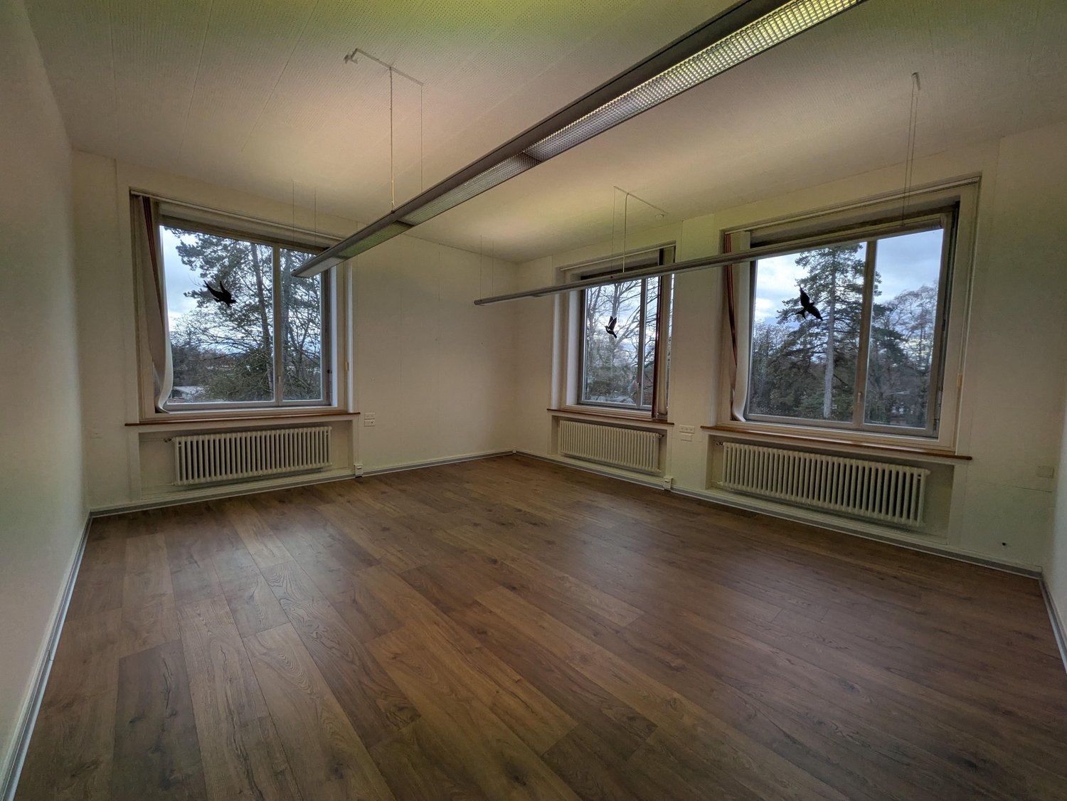 146m² bureau