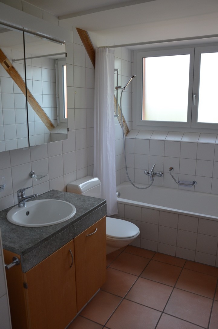 Appartement de 2 ½ pièces, photo 5 sur 6