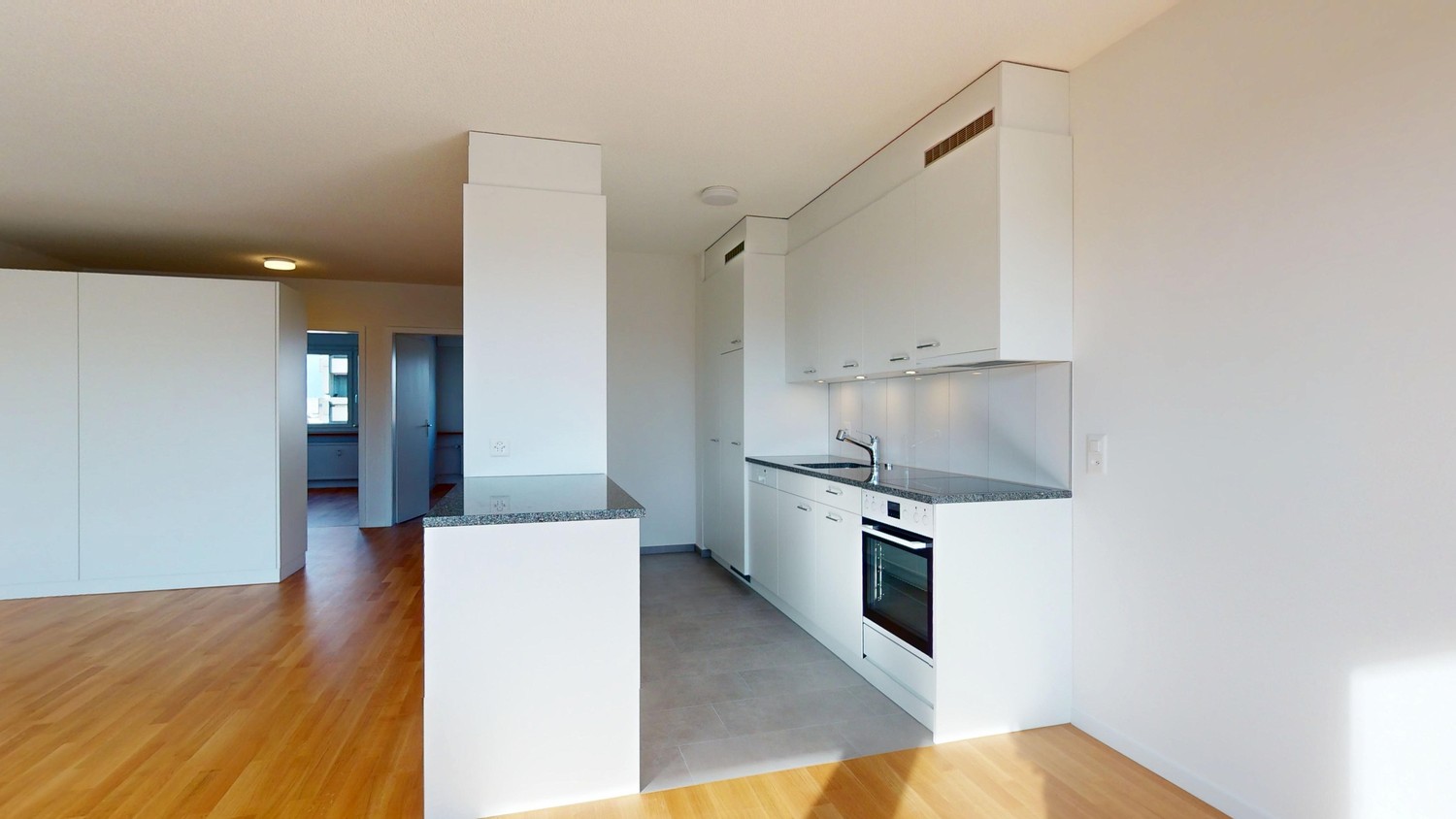 Appartement de 3 ½ pièces