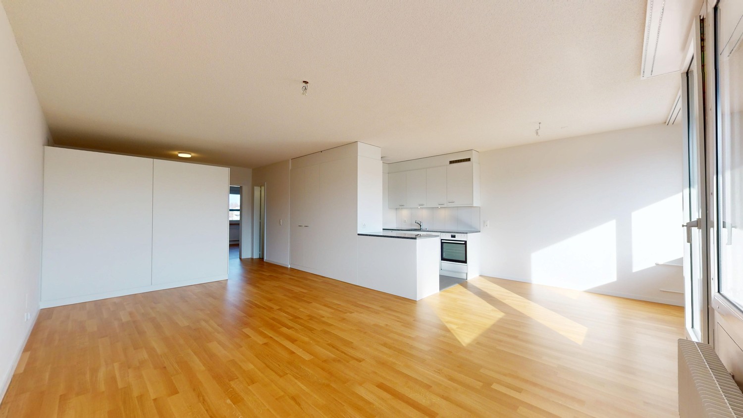 Appartement de 3 ½ pièces