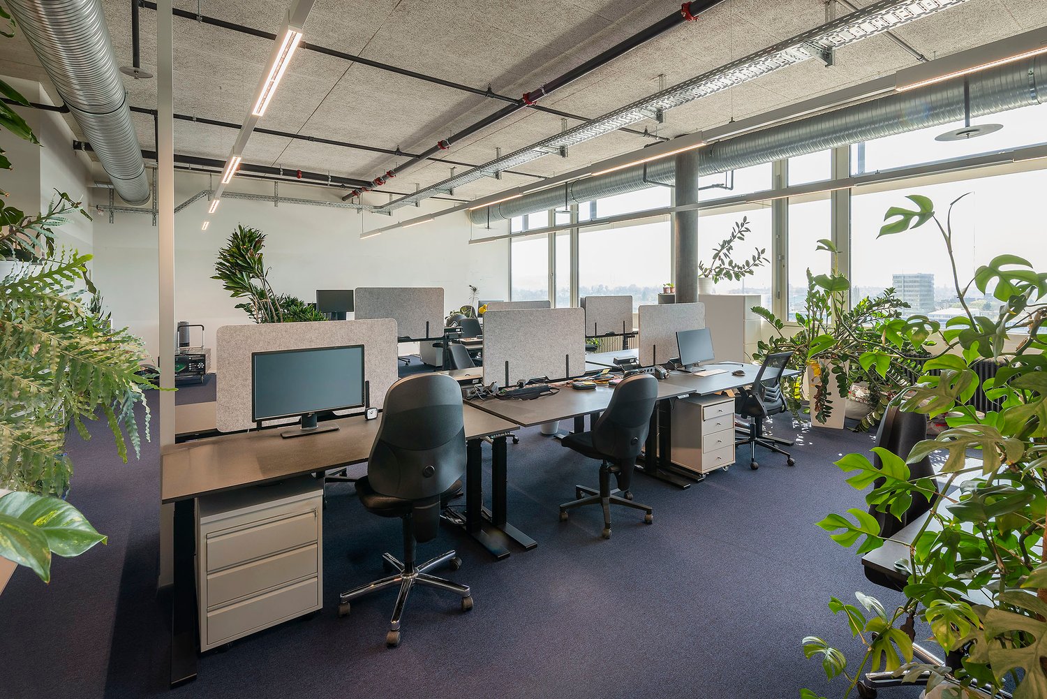 1058m² bureau