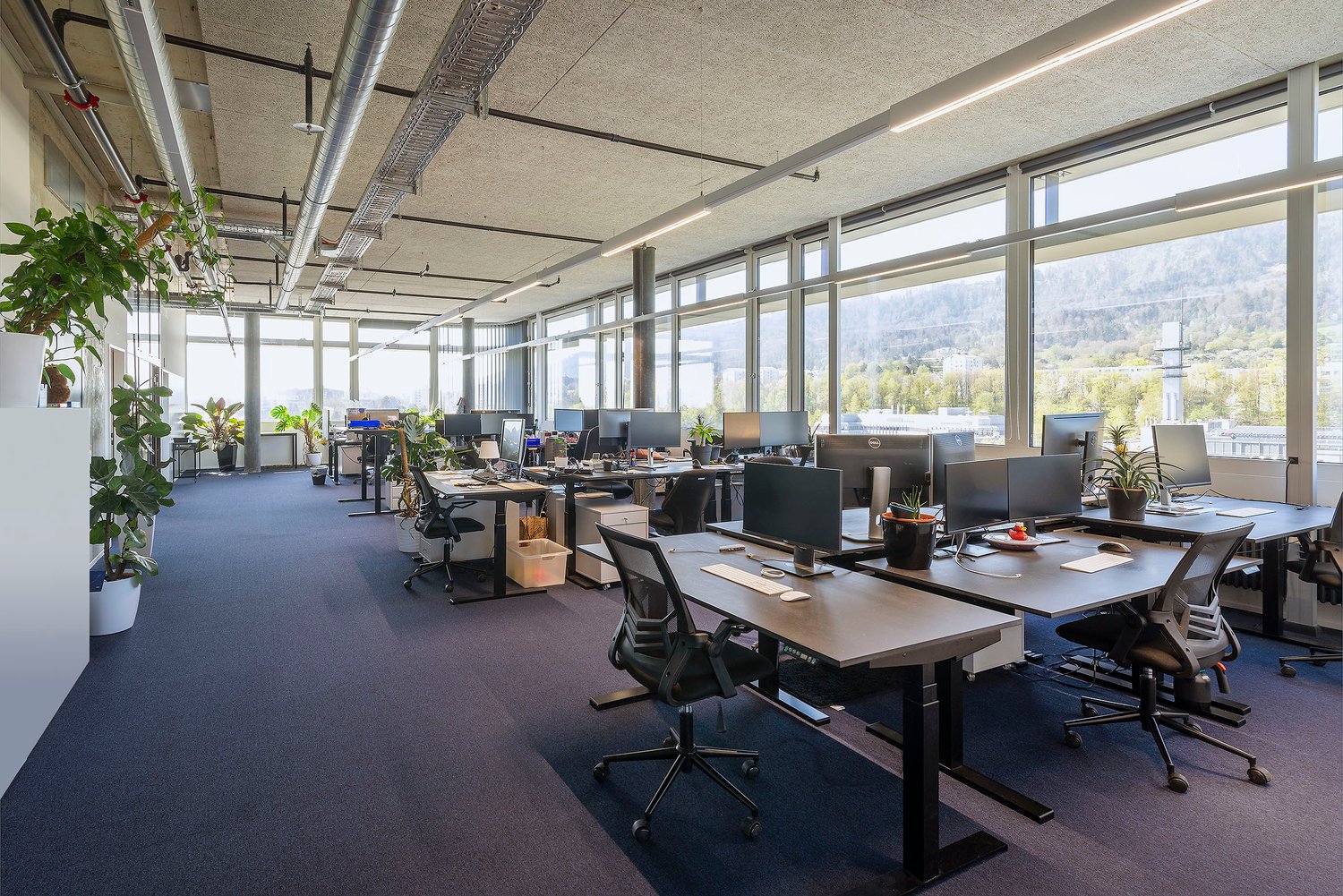 1058m² bureau