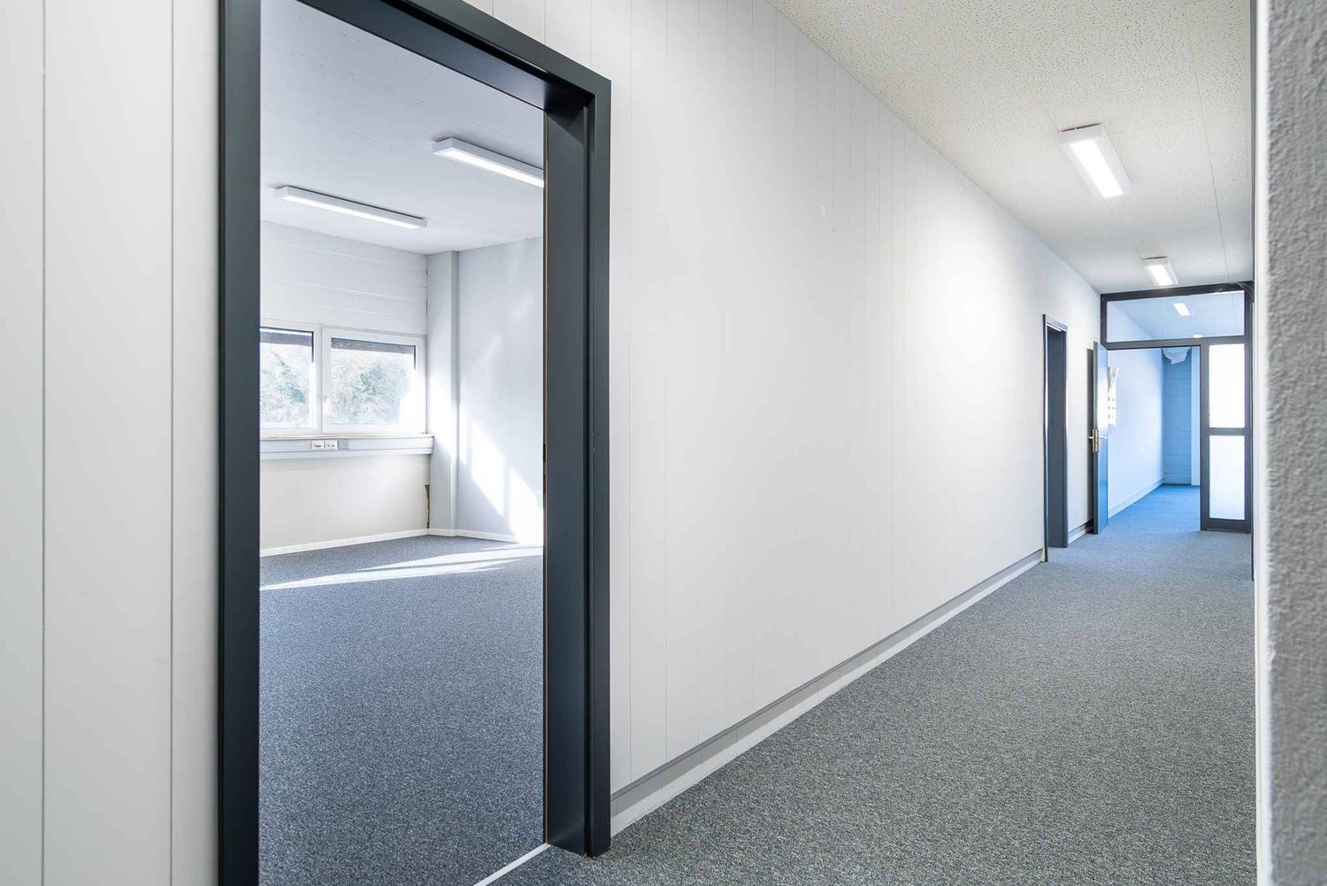 219m² office