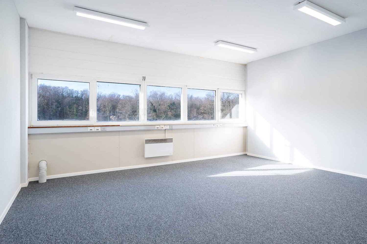 219m² office
