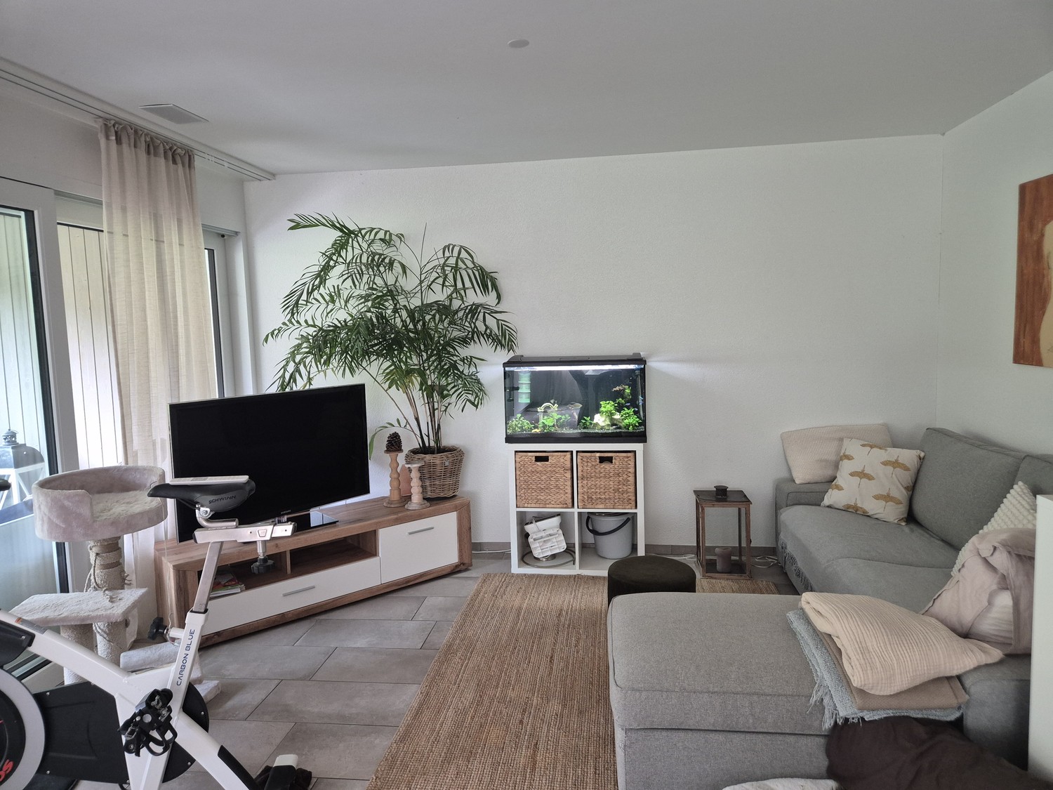 Chambre en colocation, photo 5 sur 6
