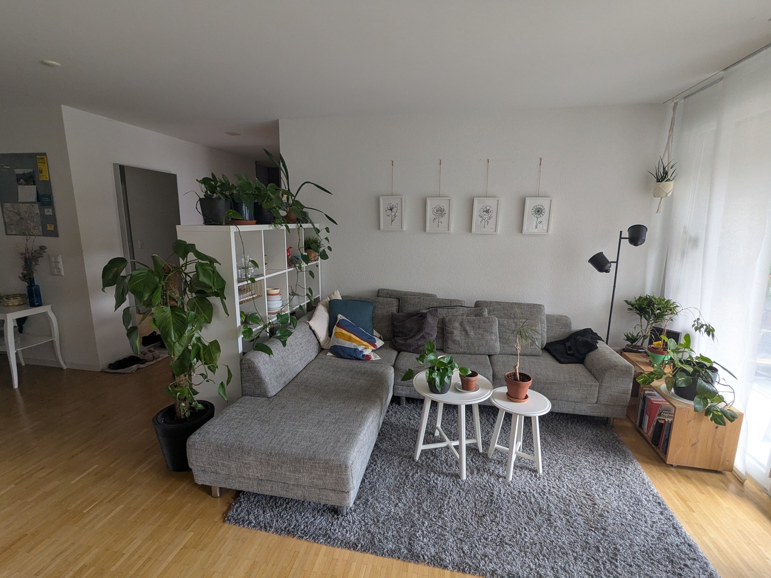 Chambre en colocation, photo 8 sur 8