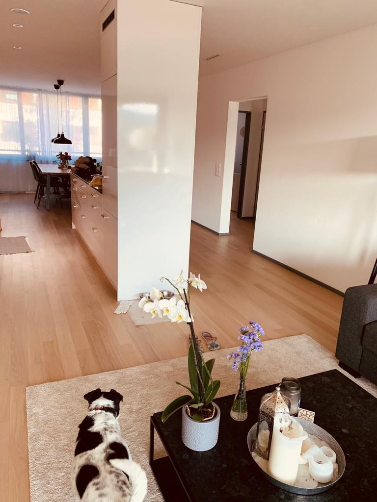 Appartement de 3 ½ pièces