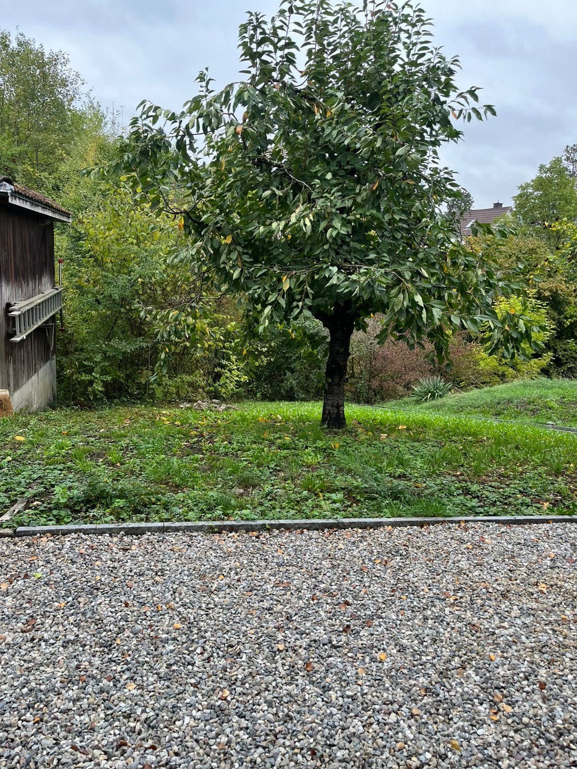 Maison individuelle de 6 pièces, photo 9 sur 10