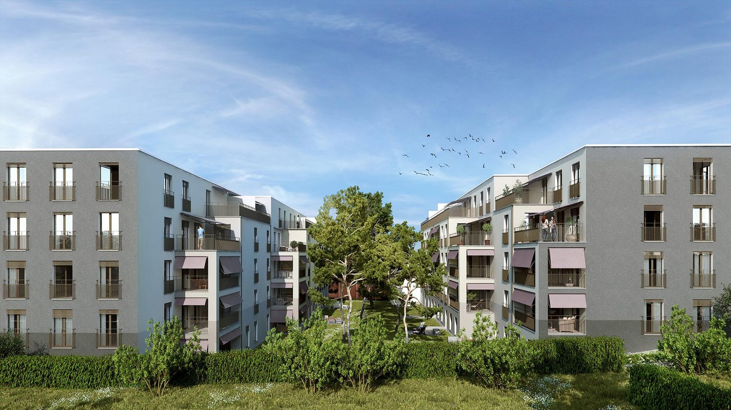 Appartement de 3 ½ pièces